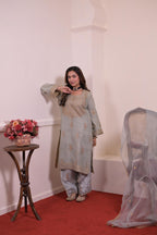 Ethereal Powder Grey Zari Embroidered Silk Suit